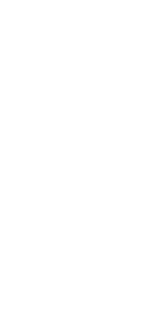 おもてなしの心